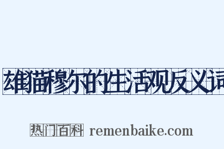 雄猫穆尔的生活观反义词是什么意思的图片